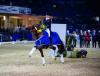 Foto: Sieger des 25.NÜRNBERGER BURG-POKAL Finales 2016 - Isabel Freese und Vitalis - Fotograf: Stefan Lafrenz