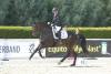 Foto: Der Trakehner Siegerhengst Rheinglanz v. Helium war 2021 mit Eva Möller im Sattel Reitpferdechampion und Bronzemedaillengewinner bei den Bundeschampionaten in Warendorf - Fotograf: Stephan Bischoff