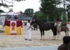 Foto: Call to Viernheim - Fotokredit: hbm
