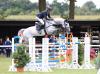 Foto: Carsten-Otto Nagel ist mit Chairman Titelverteidiger beim Sommerturnier Schenefeld 2018 - Fotograf: ACP Pantel