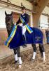 Foto: In Schenefeld beim Saison-Opening dabei - der Norddeutsche Berufsreiterchampion Dressur 2020 - Ants Bredemeier aus Trittau mit Barrymore - Fotograf: MB/Pegamo