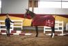 Foto: Chakira P von Chacfly PS x Abke - Fotograf: Sanwald