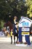 Foto: Marcus Ehning - hier mit Comme il faut - ist Rankingspitze der DKB-Riders Tour 2016 und kann in München den Gesamtsieg sichern - Fotograf: Stefan Lafrentz