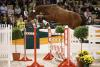 Foto: Popeye heißt der Sieger des ersten Freispring-Cups beim Trakehner Hengstmarkt in Neumünster - Fotograf: Stefan Lafrentz