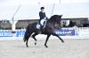 Foto: Trabten schnurstracks auf Rang eins im Grand Prix de Dressage in Verden: Heuberger TSF und Anabel Balkenhol - Fotograf: Stefan Lafrentz