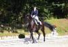 Foto: Nadine Capellmann und Dark Dynamic auf dem Weg zum Grand Prix Sieg in Schenefeld - Fotograf: ACP Pantel
