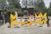 Foto: Junge Pferde dominierten in Ehlersdorf - Teilnehmer und Veranstalter trotzten dem unwirtlichen Wetter - Fotograf: comtainment GmbH