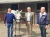 Foto: Freuen sich, dass es los geht: v.l. Rainer Schwiebert, Wolfgang Schierloh und Jürgen Böckmann, Veranstalter des Sommerturniers Horse & Classic in Schenefeld - Fotograf: Comtainment