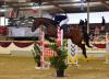 Foto: Benjamin Wulschner und La Darca setzten sich im Championat der Stadt Damme an die Spitze - Fotograf: Fotodesign Feldhaus