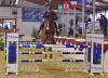 Foto: Dammes Reitsportzentrum eröffnet die Hallensaison - hier Bastian Freese mit Balou de Nous - Fotograf: Fotodesign Feldhaus