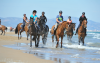 Foto: Das perfekte Ausgleichtraining für Pferd und Reiter bietet der Strand von Oliva Nova - Fotograf: 1clicphoto