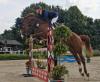 Foto: Das Reitsportzentrum Damme bittet zum Jumping Meeting. Den Großen Platz schätzten die Springreiter der Region, wie hier Bastian Schleider - Fotograf: RZ Damme