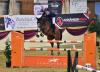 Foto: Jannik Theele und Balou du Rhy gewannen 2015 einen der Großen Preise in Damme - Fotograf: Fotodesign Feldhaus