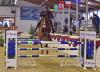 Foto: Zählen zu den Dauergästen in Damme: Bastian Freese und Balou de Nous - Fotograf: Fotodesign Feldhaus