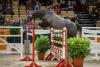 Foto: Der dreijährige Hengst Störtebeker hat souverän den zweiten Trakehner Freispringcup gewonnen - Fotograf: Stefan Lafrentz