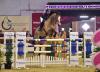 Foto: Georgia Founta (Griechenland) sicherte sich mit It`s a Fact in Damme 2015 einen internationalen Erfolg - Fotograf: Fotodesign Feldhaus
