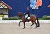 Foto: Sönke Rothenberger und Cosmo, Siegern der Preis der Hof Kasselmann GmbH & Co. KG CDI4* Grand Prix de Dressage - Fotograf: Fotograf Rüchel