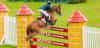 Foto: Hickstead-Hindernis - Fotograf: hickstead.co.uk