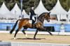 Foto: Crystal Friendship unter Anabel Balkenhol: vom NÜRNBERGER BURG-POKAL 2017 in München-Riem zum Grand-Prix-Sieger - Fotograf: Maximilian Schreiner