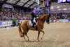 Foto: Dänemarks Mannschafts-Weltmeisterin Nanna Skodborg Merrald und Blue Horse Zepter - Sieger im FEI Grand Prix de Dressage - Fotograf: Stefan Lafrentz