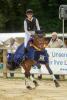 Foto: Der Trakehner Geländechampion 2020, Isselhook’s First Sight unter Sophie Leube, war hoch finalplatziert bei den Weltmeisterschaften der Jungen Vielseitigkeitspferde und setzt mittlerweile in den USA seinen Erfolgsweg fort - Fotograf: Jutta Bauernschmitt