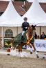 Foto: Der gekörte Giuliani v. Berlusconi eroberte unter Marie Honeck im Vorjahr den Titel des Equitop Myoplast Trakehner Reitpferdechampions der vierjährigen Hengste - Fotograf: www.sportfotos-lafrentz.de