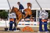 Foto: Mit Vestmalle Des Cotis ritt Hansi Dreher heute in einer eigenen Liga und siegte in der 5. Wertunsprüfung der BEMER Riders Tour - Fotograf: Sportfotos-Lafrentz.de