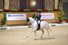 Foto: Die dreifache Europameisterin Rose Oatley wird bei den Aachen Dressage Youngstars am Start sein - Fotograf: Fotostudio Marx
