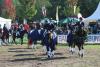 Foto: Die Junioren-Abteilung des Reit- und Fahrvereins Zarpen siegte in Bad Segeberg beim Landesturnier 2018 - Fotograf: Tierfotografie Huber