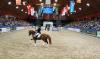 Foto: Die Hengstgala des K+K Cup in Münster sorgte für Riesenandrang in der Halle Münsterland - Fotograf: ESCON-Marketing GmbH