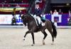 Foto: Der strahlende Sieger im FEI World Cup Grand Prix von Salzburg Benjamin Werndl - Fotograf: © Daniel Kaiser 