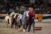 Foto: Olympionikin Dorothee Schneider bei der Trakehner Galaschau mit Ponys und Kindern vom Forsthaus Tiergarten Lüneburg, wo sie oft Ferienkind war. Trakehner verbinden für immer! - Fotograf: Jutta Bauernschmitt