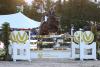 Foto: Platz eins im Eickendorf Horses und Meyer-Zimmermann Sport & Business Cup: Philip Rüping und Casallco - Fotograf: ACP Andreas Pantel