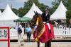 Foto: Ein Höhepunkt der Trakehner Bundesturniere sind die Equitop-Myoplast-Reitpferdechampionate. Im vergangenen Jahr konnte sich Sarah König mit Taormina v. Imperio Titel und Schärpe sichern - Fotograf: Büttner