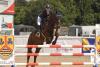 Foto: Elsa Thiesen siegte mit Spartacus bei den Ladelunder Springtagen und darf nun mit zwei Pferden am Finale des Kuschel Cups 2023 teilnehmen - Fotograf: RathmannVerlag/Caya Marie Andresen