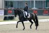 Foto: Erreichten ihre persönliche Bestleistung im U25Grand Prix mit über 76 Prozent - der neue Europameister Raphael Netz und Elastico - Fotograf: Stefan Lafrentz