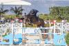 Foto: Erstmals unter den Top-Drei der Trofeo El Corte Inglés - Emar Vinkelau und Montendra W - Fotoraf: Frank Fotistica