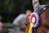 Foto: Auf gehts zur ersten Etappe um Schleifen und Punkte beim Balios Hunter Cup 2022 - Fotograf: Archiv RathmannVerlag