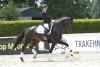 Foto: Der amtierende Trakehner Siegerhengst Rheinglanz von Helium wurde unter Eva Möller Myoplast Trakehner Reitpferdechampion der dreijährigen Hengste - Fotograf: Stephan Bischoff