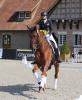 Foto: Zwei Siege in zwei tagen - Fabienne Müller-Lütkemeier und Valesco haben in Herzlake sowohl den Grand Prix, als auch den Grand Prix Special gewonnen - Fotograf: LL-Foto