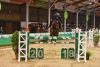 Foto: Felix Haßmann mit Cayles 2018 beim Gahlener Hallen-Reitturnier - Fotograf: Mark Große Feldhaus