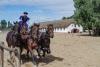 Foto: Feurige Ungarn bei der Trakehner Gala-Schau am 30. November: Die weltberühmten Pferdehirten der Puszta zeigen mit ihren Pferden unter anderem die legendäre „Ungarische Post“ - Fotograf: Privat