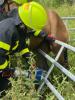 Foto: Mit einer Rettungsschere wird Pferd Nova befreit - Foto: Feuerwehr Frankfurt a.M.