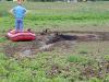 Foto: Tierrettung - Fotograf: Feuerwehr Kleve
