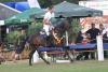 Foto: Trakehner Geländepferdechampion 2019 mit der Wertnote 10,0: der gekörte Hengst Kros v. Ajbek unter Jens Hoffrogge - Fotograf: Stephan Bischoff