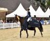 Foto: Start-Ziel-Sieg für den unternehmungslustigen Uriel und seine Ausbilderin Sophie Hinners im Finale des Tiemeyer x Hetzel Young Horse Masters - Fotograf: Lehmeyer