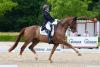 Foto: Auch im Grand Prix Special auf dem Gut Einhaus vorn - Dänemarks Championatskandidatin Cathrine Dufour mit Bohemian - Fotograf: LL-Foto/ Lewandowski