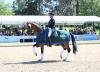 Foto: In der Grand Prix Kür der CDI 5*-Tour, Preis der Meggle Gruppe, siegte der Österreicher Christian Schumach - Fotograf:Hubert Fischer 
