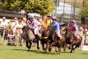 Foto: Grand National Shetland Ponys mit ihren Mini-Jockeys - Fotograf: CHIO Aachen/Andreas Steindl).
