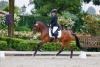 Foto: Einziges Pony in der Reitpferdeprüfung und Sieger - Krösus mit Larissa Höhne - Fotograf: Stefan Lafrentz